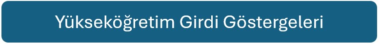 yükseköğretim girdi göstergeleri görsel.jpg (17 KB)